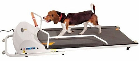 GoPet Dog Treadmill designed for indoor exercise, featuring a sturdy frame and adjustable speed settings