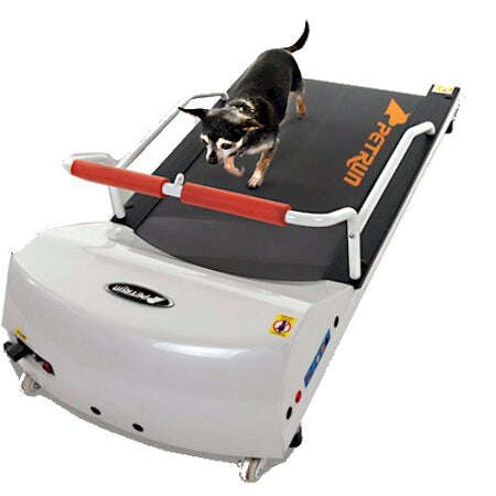 GoPet Dog Treadmill designed for indoor exercise with adjustable speed settings for pets