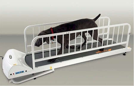 High-quality dog treadmill designed for indoor exercise with safety barriers for large dogs