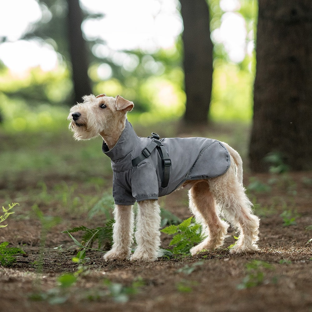 Dog waterproof reflective jacket by Purrfect Pet Kingdom designed for wet weather protection