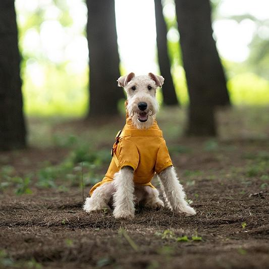 Purrfect Pet Kingdom dog waterproof reflective jacket in yellow, perfect for rainy walks and outdoor activities
