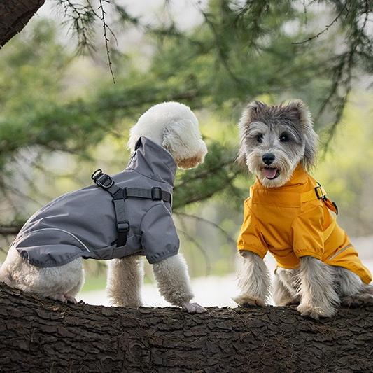 Two dogs wearing a dog waterproof reflective jacket in gray and orange, ideal for rainy weather