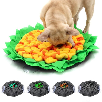 Pug dog using Purrfect Pet Kingdom dog enrichment feeding mat with colorful snuffle design