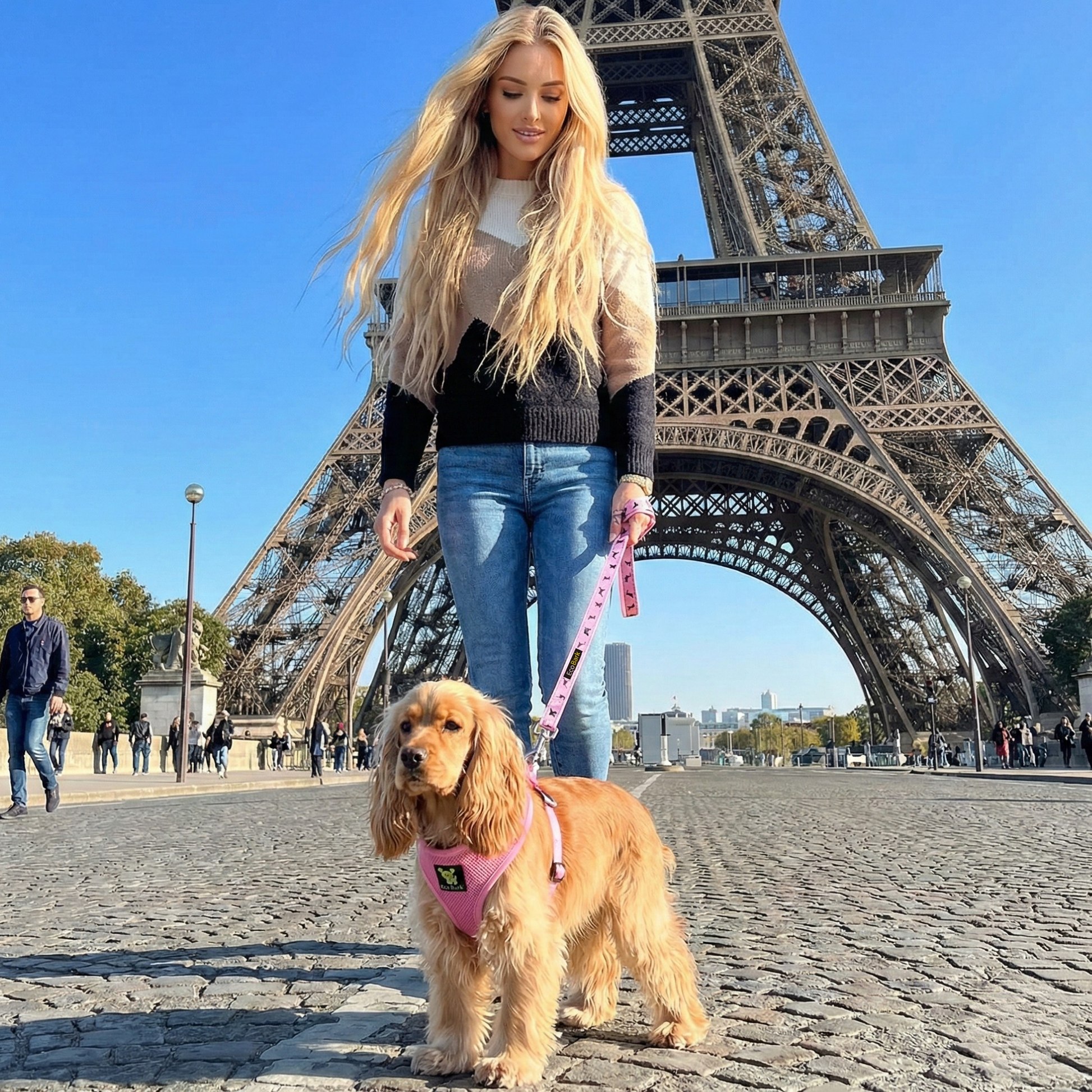 Eco Style Dog Harness with Secure Fit for Dogs and Cats - Dog Harness view 7 from Purrfect Pet Kingdom