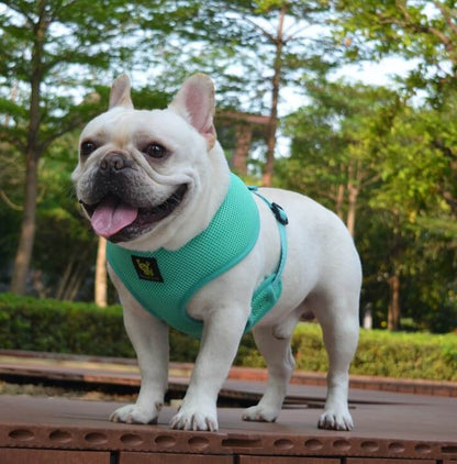 EcoBark Mint Turquoise Dog Harness - Over-the-Head Soft Mesh