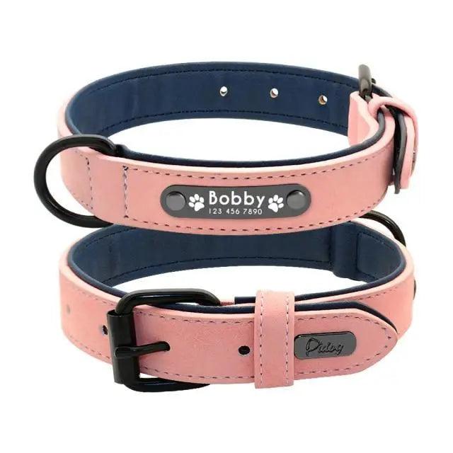 Dogs Collars Personalized Padded Collar Leather Dog Walking Leash