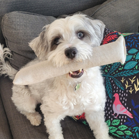 Boba & Vespa Cat Kicker Toy for Bunny Kicks  - DOGS love it