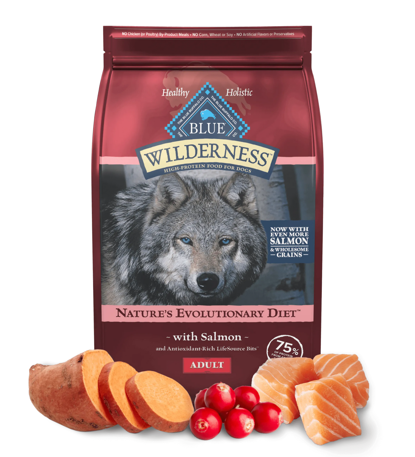 done - Wilderness Salmon Grains Dry Dog - Food