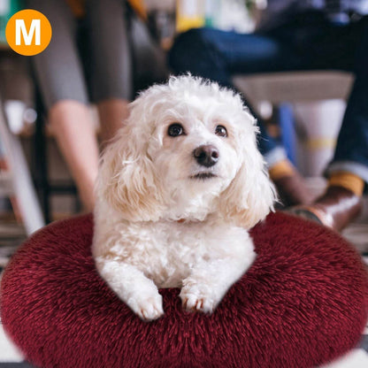 Purrfect Pet Kingdom Donut Dog Bed for Small Dogs - Cozy Plush Purrfect Pet Kingdom