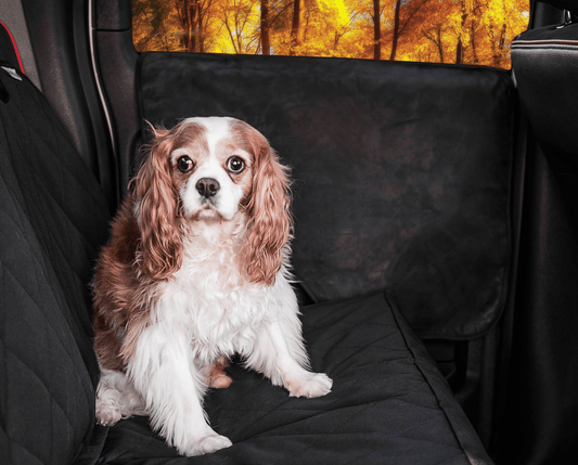 Pupprotector Car Door Guard 2 Pack Pet Travel Accessories - main product image