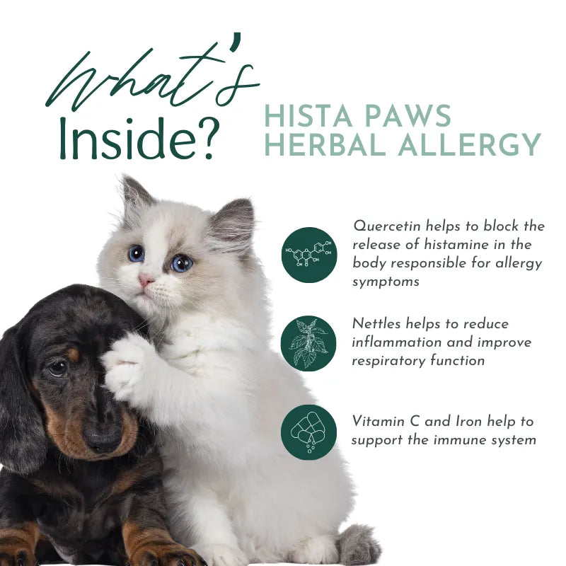 Hista Paws vitamins by Dr. Ruth Roberts for dogs and cats, 49.99, in a vibrant packaging, promoting pet health and wellness.