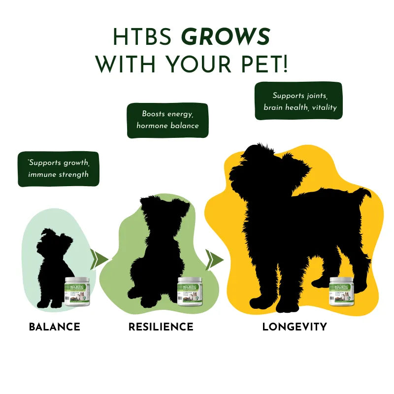 Dr. Ruth Roberts - Holistic Total Body Support – Multivitamin & Glandular Support for Dogs and Cats - Vitamins & Supplements
