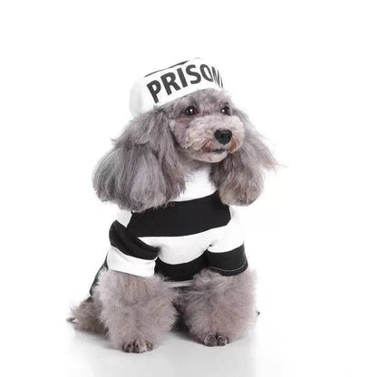 Purrfect Pet Kingdom Striped Dog Halloween Outfit Purrfect Pet Kingdom