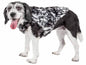 Purrfect Pet Kingdom Premium Dog Coat for Dogs - Stylish and Comfortable Apparel Large Purrfect Pet Kingdom