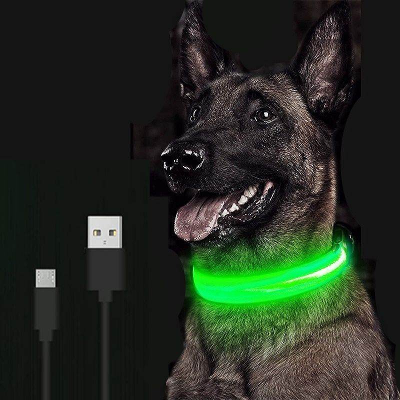 Purrfect Pet Kingdom LED Dog Collar Rechargeable Safety Gear S Yellow Battery Purrfect Pet Kingdom