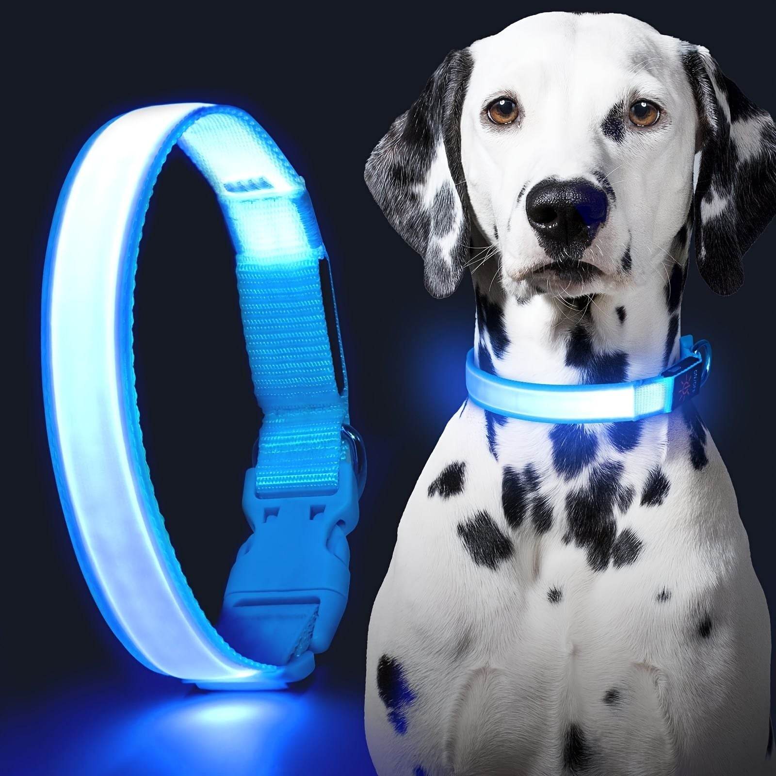 Purrfect Pet Kingdom LED Light Up Collar for Nighttime Walks Purrfect Pet Kingdom