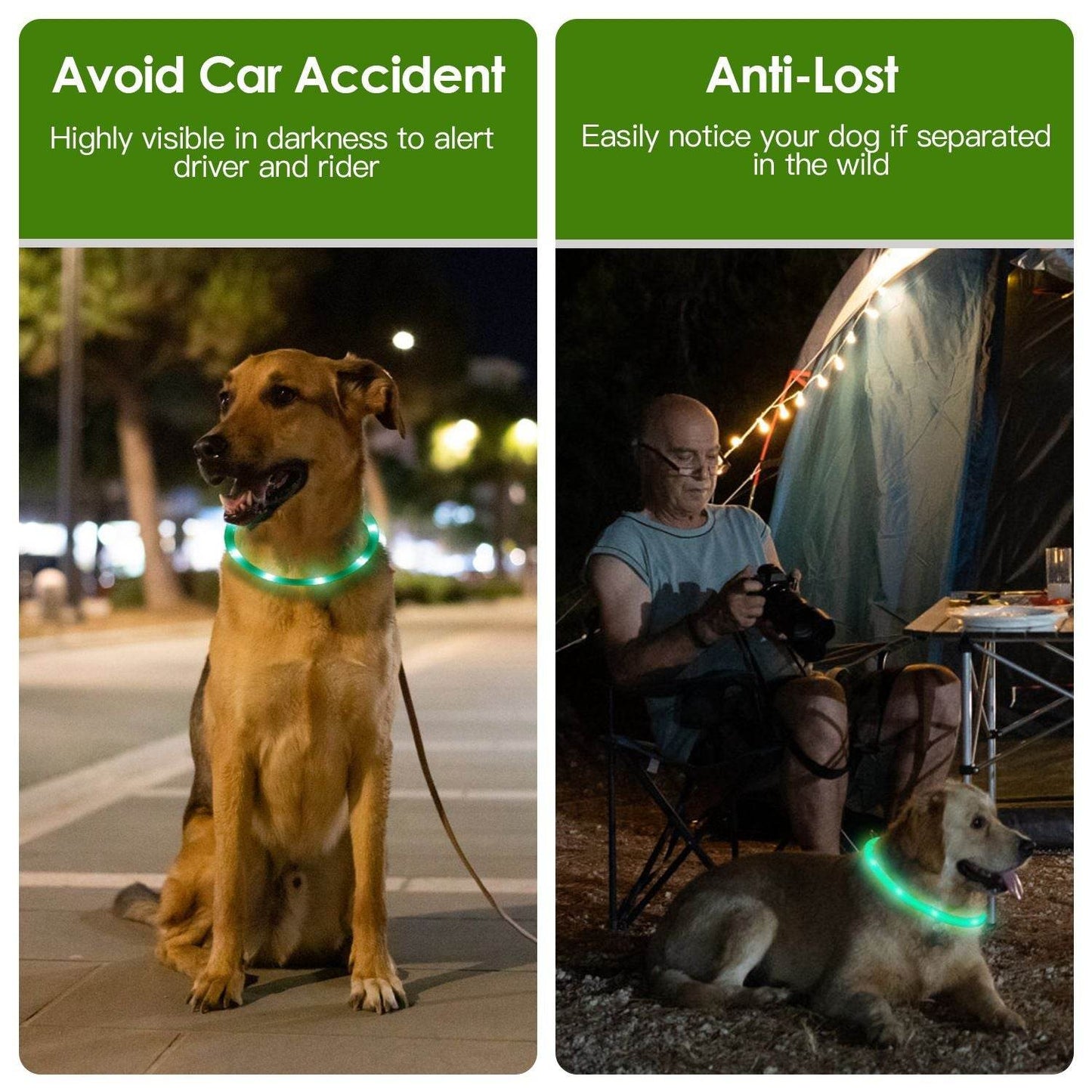 Purrfect Pet Kingdom Rechargeable LED Dog Collar Safety Gear USB Purrfect Pet Kingdom