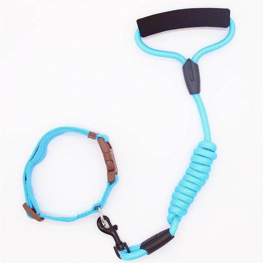 👑 Premium Adjustable Pet Leash and Collar Set 🌈 Purrfect Pet Kingdom 