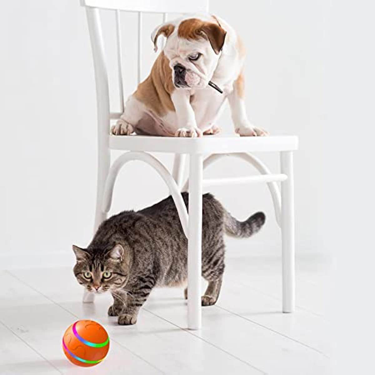 Purrfect Pet Kingdom Interactive Rolling Ball for Pets Purrfect Pet Kingdom