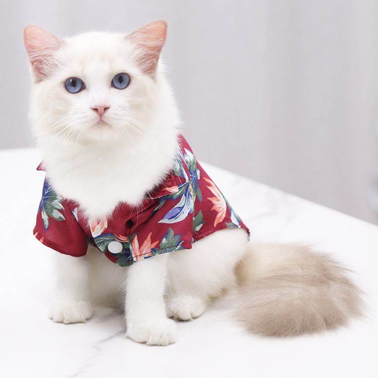 Hawaiian Pet Summer Shirts - Cute T-Shirts for Small to Medium Dogs and Cats, Cool Beach Vests for Summer Purrfect Pet Kingdom 
