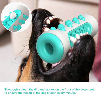 Purrfect Pet Kingdom Durable Dog Teeth Cleaning Toy Purrfect Pet Kingdom