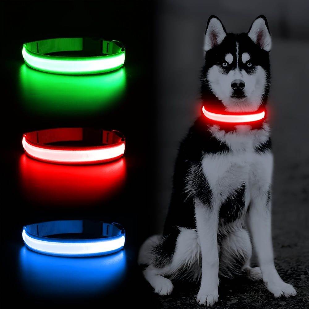 Purrfect Pet Kingdom LED Light Up Collar for Nighttime Walks Purrfect Pet Kingdom
