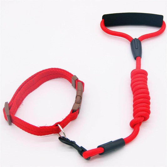 👑 Premium Adjustable Pet Leash and Collar Set 🌈 Purrfect Pet Kingdom 