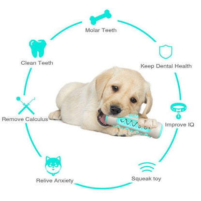 Purrfect Pet Kingdom Durable Dog Teeth Cleaning Toy Purrfect Pet Kingdom