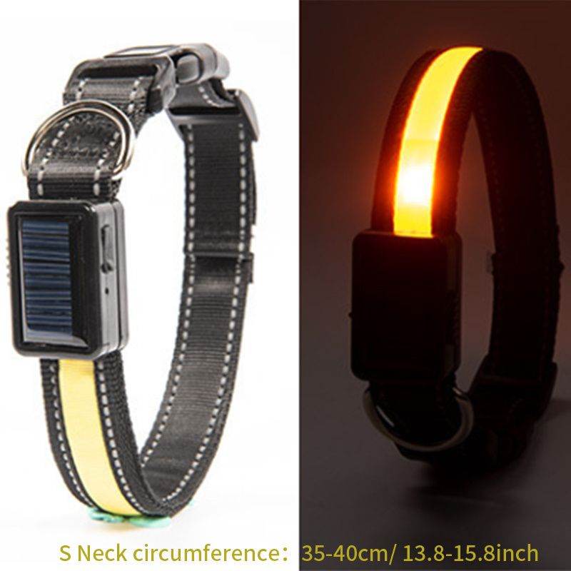 Purrfect Pet Kingdom LED Light Up Collar for Nighttime Walks S Yellow Purrfect Pet Kingdom