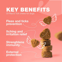 Dog Flea and Tick Treatment Chews FleaTick Prevention for