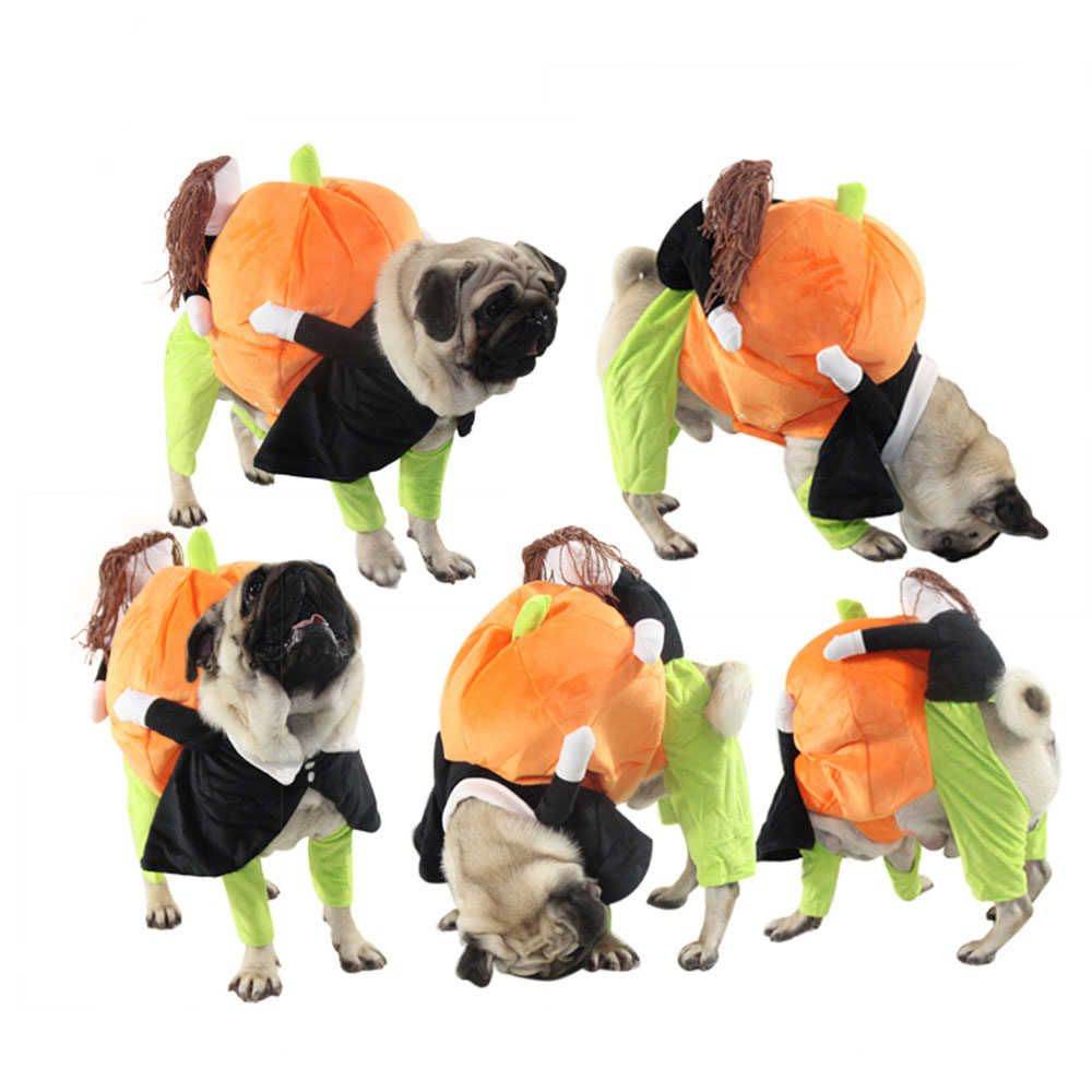 Purrfect Pet Kingdom Funny Halloween Outfits for Pets Purrfect Pet Kingdom