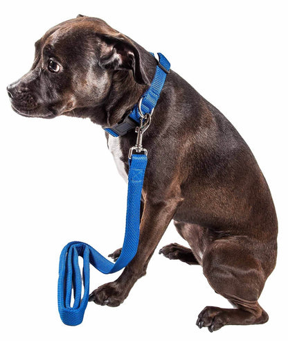 Purrfect Pet Kingdom Adjustable Mesh Dog Leash Purrfect Pet Kingdom