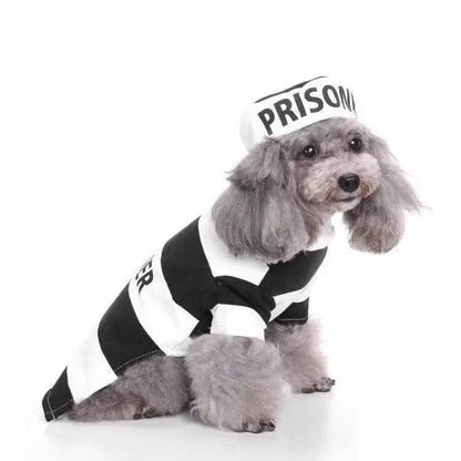 Purrfect Pet Kingdom Striped Dog Halloween Outfit Purrfect Pet Kingdom
