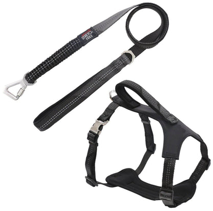 Purrfect Pet Kingdom Adjustable Dog Harness for Walking Large Black Purrfect Pet Kingdom