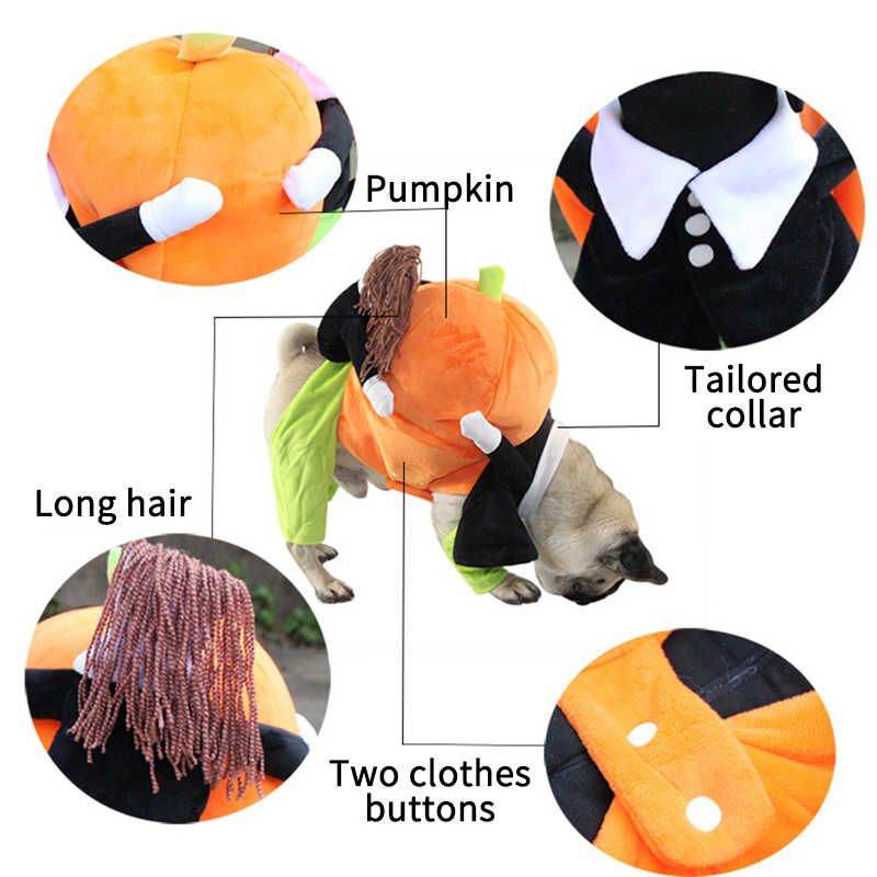 Purrfect Pet Kingdom Funny Halloween Outfits for Pets Purrfect Pet Kingdom
