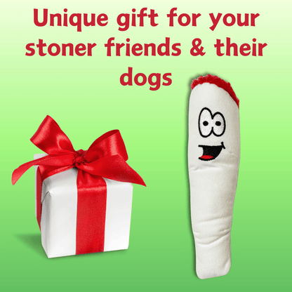 My Name is Jay, Cute Stuffed Parody Joint Dog Toy, Funny Squeaky Weed Toy, Cool Plush Novelty 420 Gift for Pets & Their Owners, Sized for Puppies & Small, Medium & Large Breeds, Fetch & a Photo Prop - Dog Toys Squeaking - Berry Charmz