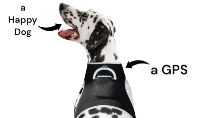 Purrfect Pet Kingdom Dog and Cat GPS Locator Harness Purrfect Pet Kingdom