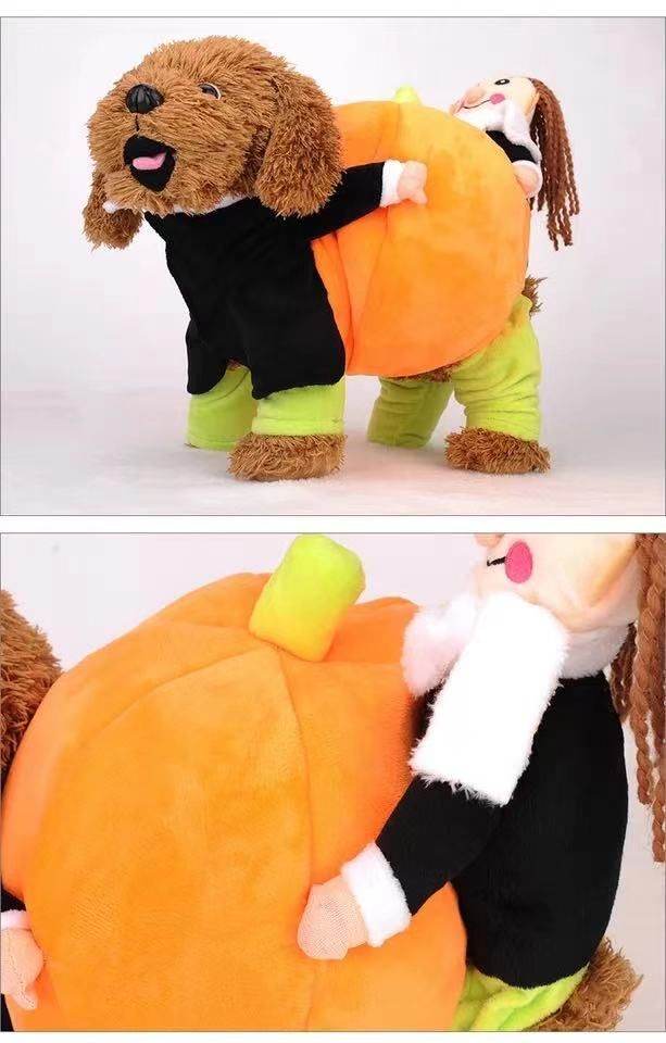 Purrfect Pet Kingdom Funny Halloween Outfits for Pets Purrfect Pet Kingdom