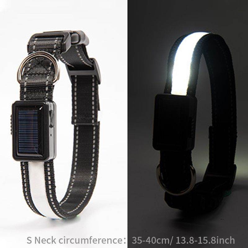 Purrfect Pet Kingdom LED Light Up Collar for Nighttime Walks Purrfect Pet Kingdom