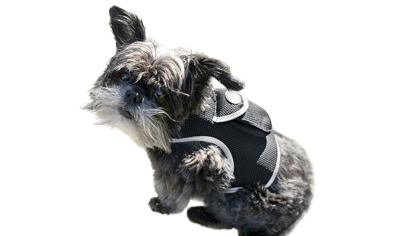 Consistent Realtime Mini Cat Dog GPS Tracking Collar Waterproof Device Size:L - Pet GPS Tracking Collar - Berry Charmz