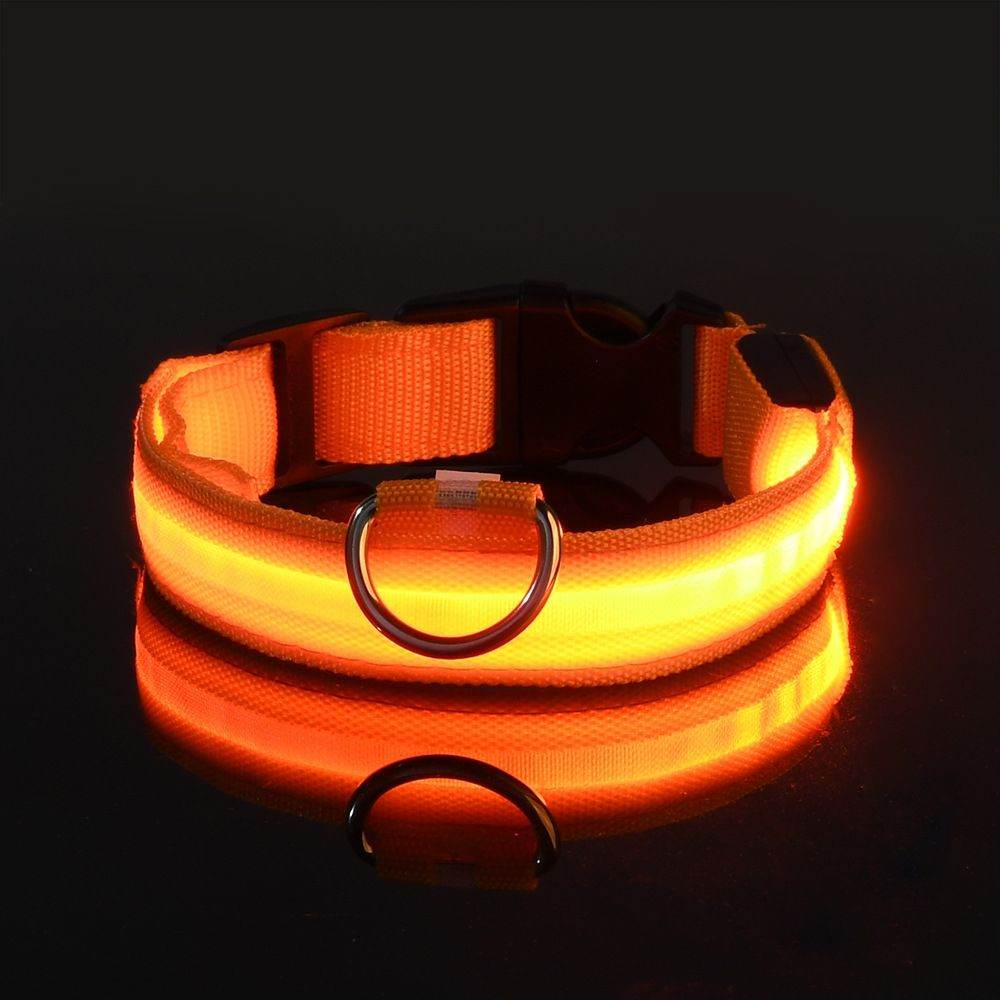 Purrfect Pet Kingdom Light Up Pet Collar for Nighttime Walks Purrfect Pet Kingdom