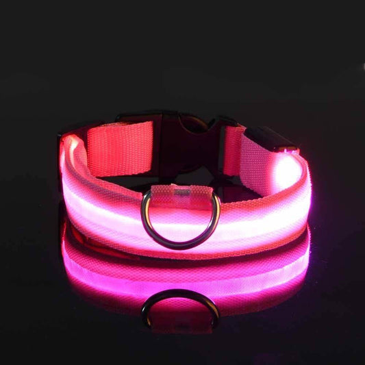 Nighttime Radiance USB Rechargeable Pet Collar: The Purrfect Glow for Your Furry Friend! 🌟🐾 Purrfect Pet Kingdom 