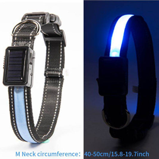 Shine Bright LED Pet Collar: Solar & USB Rechargeable for Your Furry Friend! ☀️💡 Purrfect Pet Kingdom 