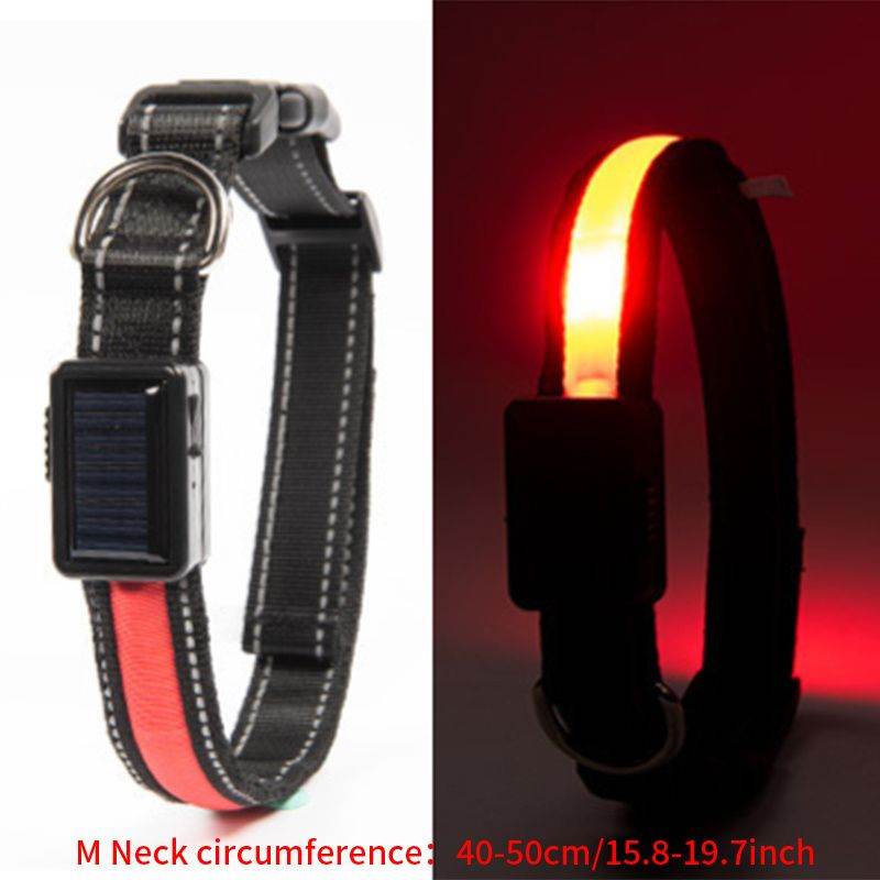 Purrfect Pet Kingdom LED Light Up Collar for Nighttime Walks M Red Purrfect Pet Kingdom