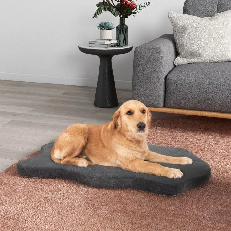 Purrfect Pet Kingdom Memory Foam Pet Bed Extra Large Purrfect Pet Kingdom