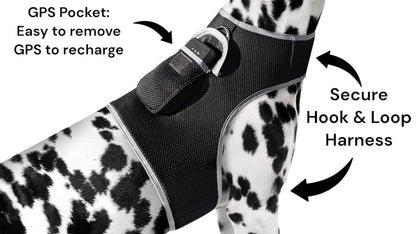 Keep Pet Safe with Pet Tracker GPS Dog Collar Tracking Device + Phone App Size:M