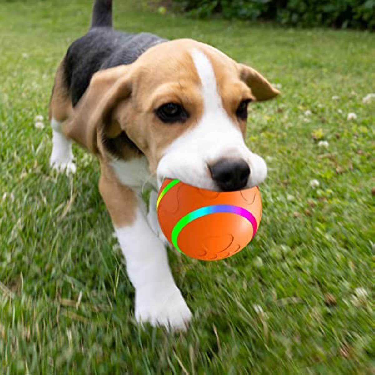 Purrfect Pet Kingdom Interactive Rolling Ball for Pets Purrfect Pet Kingdom