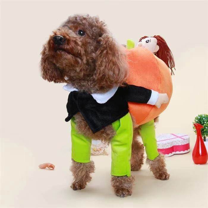 Purrfect Pet Kingdom Funny Halloween Outfits for Pets Purrfect Pet Kingdom