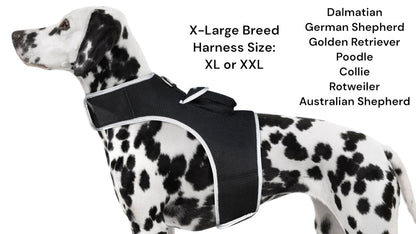 Purrfect Pet Kingdom Real-Time GPS Dog Locator Harness Default Purrfect Pet Kingdom