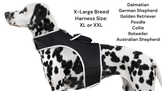 Purrfect Pet Kingdom Real-Time GPS Dog Locator Harness Default Purrfect Pet Kingdom
